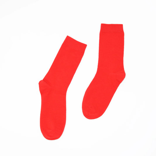 Pair of red socks on a white background