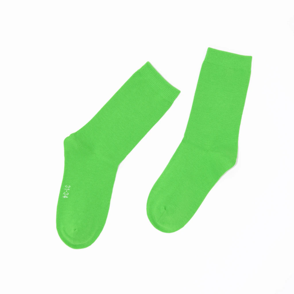 Pair of green socks on a white background