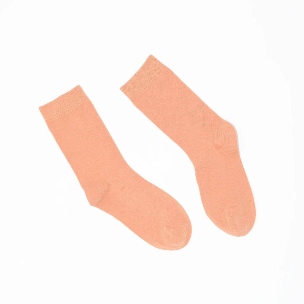 Pair of caramel coloured socks on a white background
