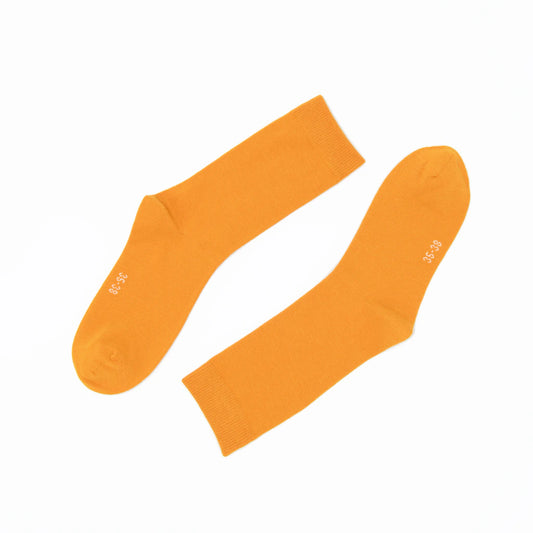 Pair of orange socks on a white background
