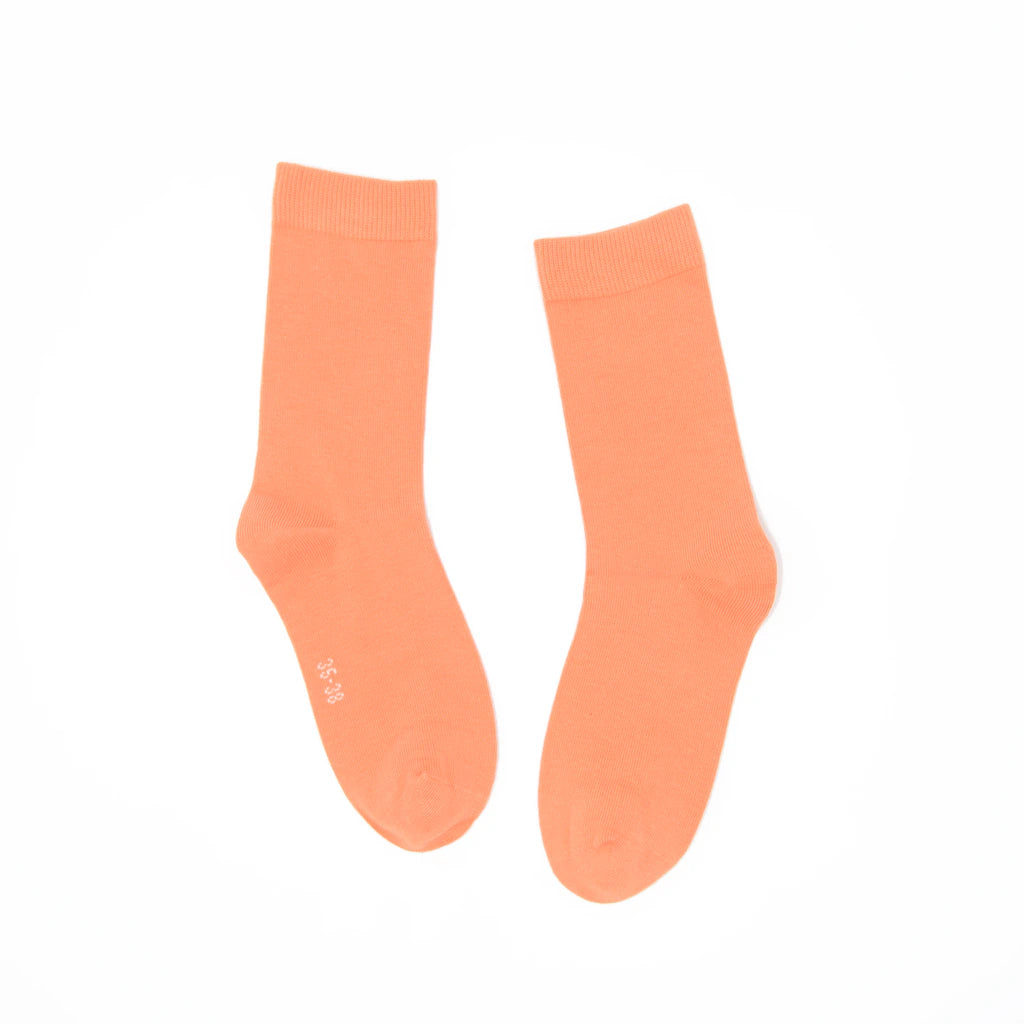 Pair of coral socks on a white background