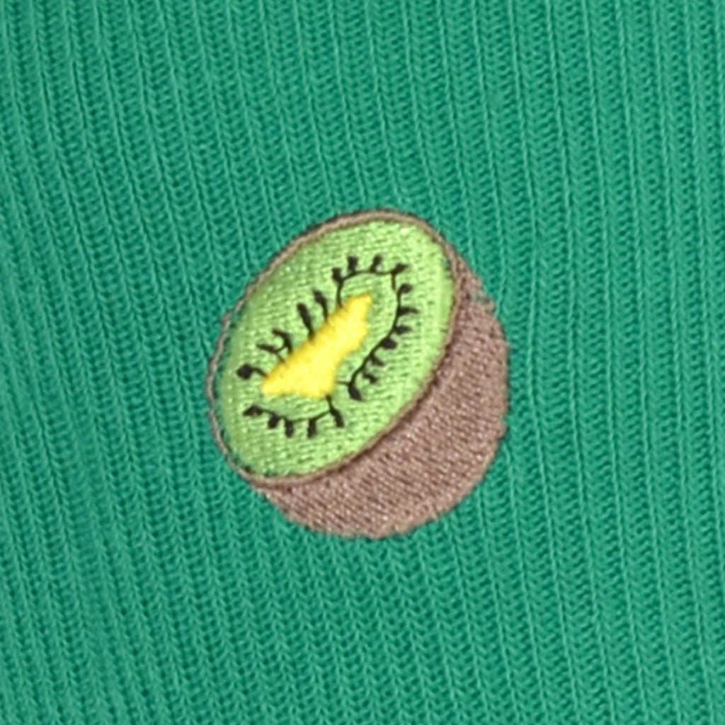 Embroidered kiwi patch on a green fabric background